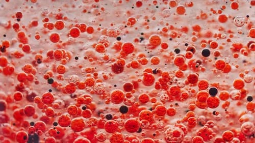 macro shot of red and black bubbles slowly moving around in water with light background