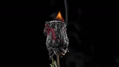 Rose Ablaze: Burning Rose with Smoke on Black