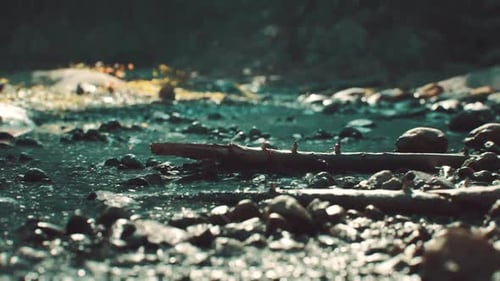 Lit d'eau naturel au Myanmar avec des cailloux et une branche tombée