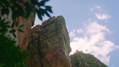 Forêt du Brésil, région des canyons, Ponta Grossa, forêt brésilienne, forêt brésilienne