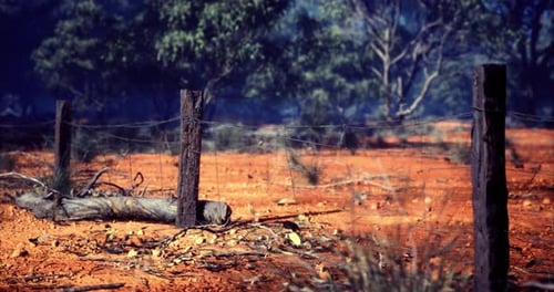 Drought-Stricken Rural Landscape with Barbed Wire Fence