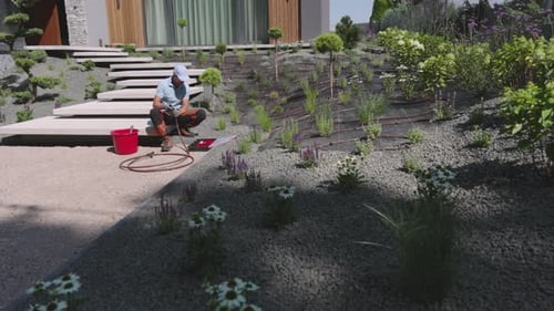 Professional Landscaper Building Drip Irrigation System