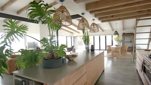 Modern kitchen with large island, hanging lights, and indoor plants in open-concept home
