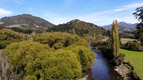 Aerial shot flying towards trees above a river in the Tasman District of New Zealand