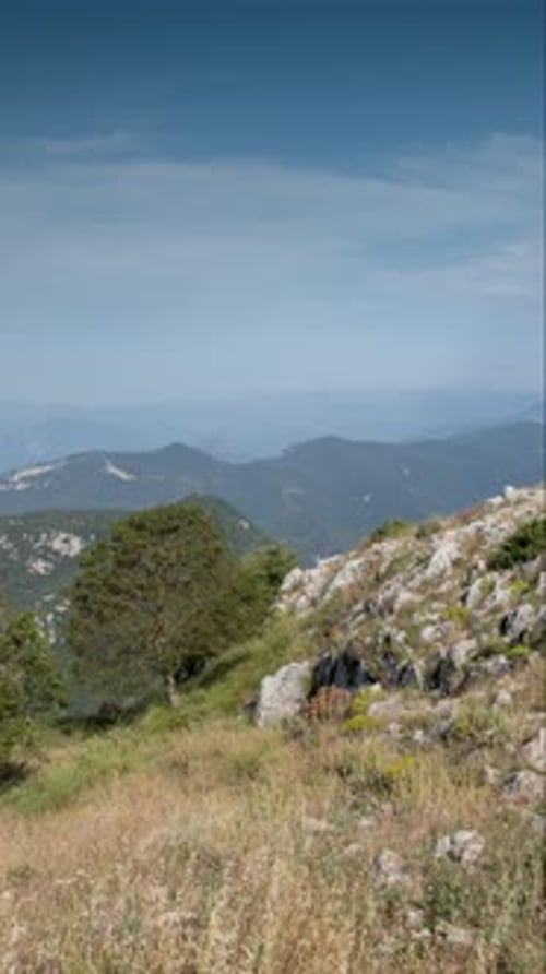 Montseny Mountain Calalonia Spain in Vertical