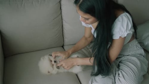 Woman Pets Adorable Pomeranian Puppy on Couch