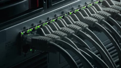 Macro Shot: Ethernet Data Cables Connected to Router Ports with Blinking Lights. Telecommunications