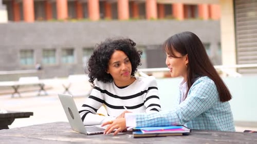 Students Friends Sitting in the Campus of the University Together