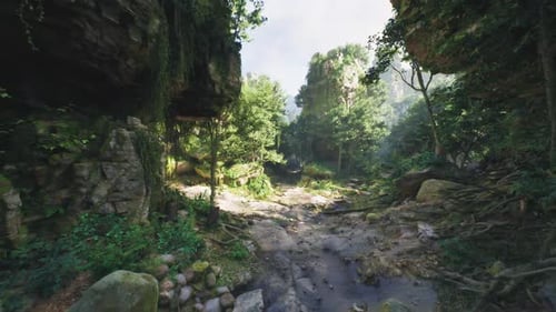 Immersive Fly Through Green Jungle Canyon