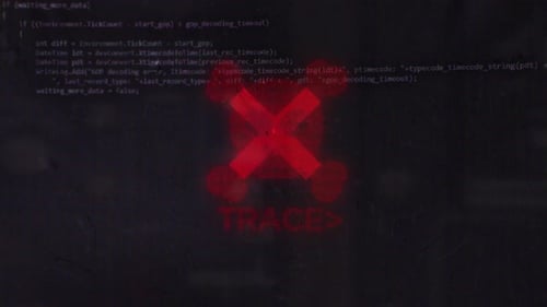 Animated Hacking Code Interface with Skull and Crossbones Reveal