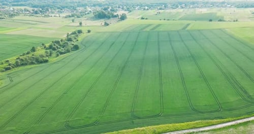 Green Farmers Field Shot From Above View From Drone Field and Forest with Houses at the Distance Top