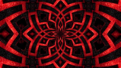 Modern Red Geometric Floral Symbol Background Loop