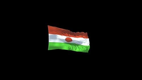 Niger Flag Waving Seamless Loop Animation