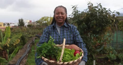 Happy Gardener Holds Basket of Fresh Vegetables