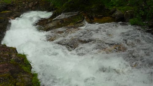 Norway - a torrent of water over sticks and stones
