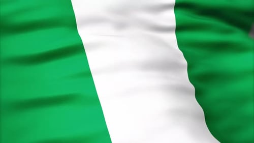 Nigeria Flag Waving Realistic Loop Animation