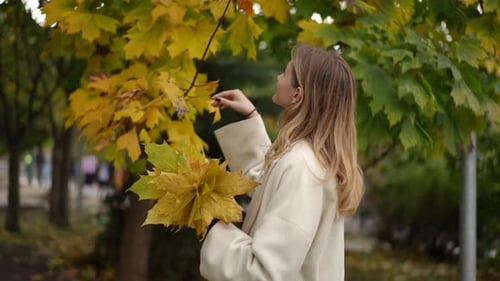 A Young Woman Enjoying Colorful Autumn Leaves While Strolling Through a Beautiful Park