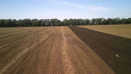 Wheat field aerial view in Ukraine