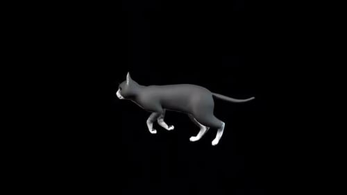 Angle latéral Black Cat Run