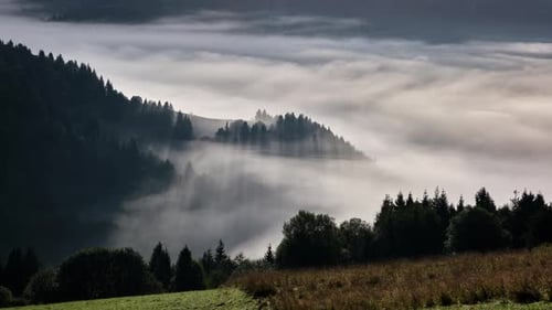 Nebelige Berglandschaft mit Bäumen, die aus dem Nebel auftauchen, Zeitraffer
