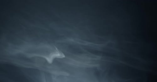 Seltsamer, abstrakter Rauch, Nebel, fließende Bewegung auf schwarzem Hintergrund