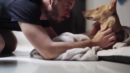 Man Cuddling Tan Dog Wrapped in Gray Towel