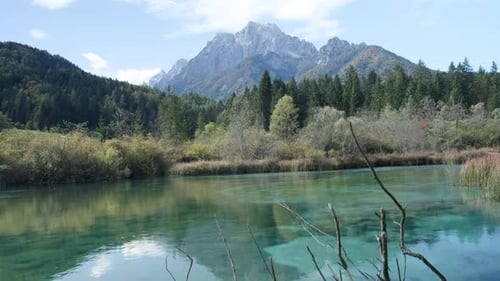 Zelenci spring in Slovenia during a beautiful sunny day looking at the alps in the background pannin