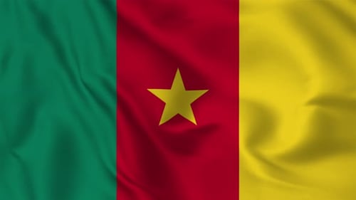 Realistic Waving Cameroon Flag Animation