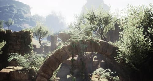 Lush Nature and Ancient Stone Ruins with Sunlight Motion Background