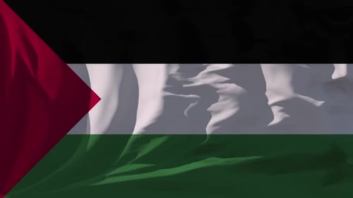 Realistic Waving Palestinian Flag Animation