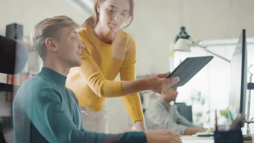 Office Colleagues Discussing Work on Computer, Tablet
