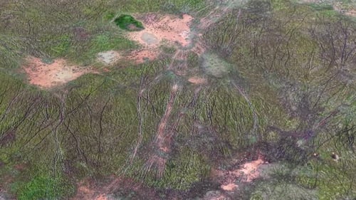 Feuchtgebiet in der Luft mit Schlammbecken und Entwässerungsmustern