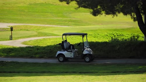 Golf cart with clubs parked on a path near the green, sunny day