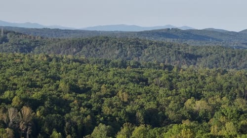 Green forest landscape and hills on sunny and misty day in summer. Aerial wide shot. Peaceful