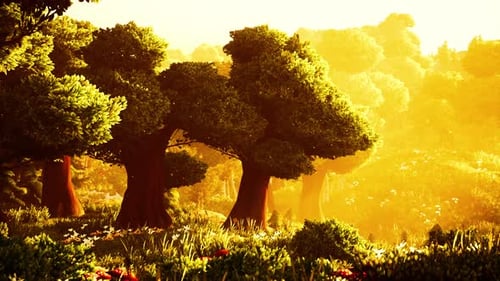 Animated Stylized Forest Landscape with Golden Sunlight