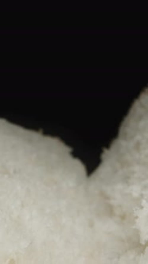 Vertical video. The sesame seed hot dog bun, the camera slides between the two halves