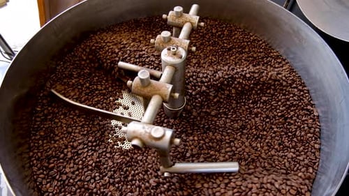 Top down view of freshly roasted golden brown Arabica coffee beans cooling down during roasting proc