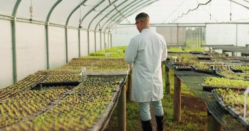 Plant farm, tablet and man walk doing science research of eco garden, ecology inspection