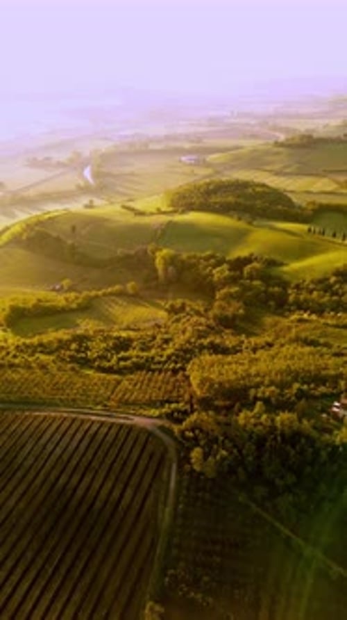 Aerial Video of Green Landscape with Trees Fields Hills and Sunset Hues
