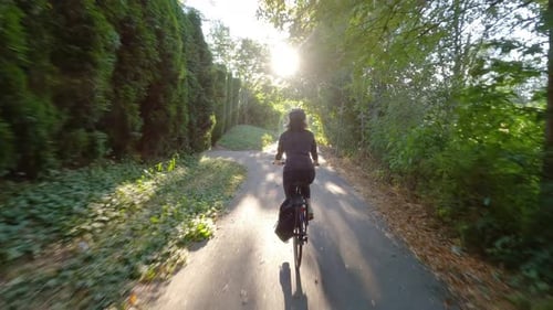 Adventure Woman Bike Riding on a Bicycle Trail Surrounded By Green Trees