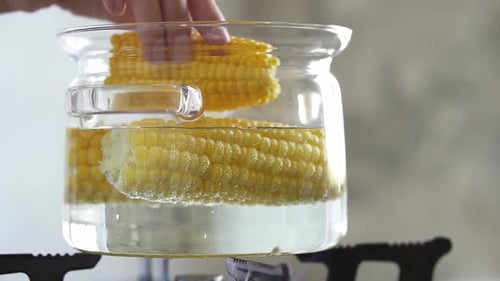 Corn on the Cob Cooking in Glass Pot