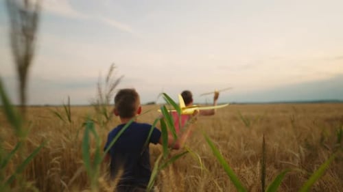 Two Little Brothers Playing and Running in Wheat Field in Farmland in Summer or Autumn Day Rear View