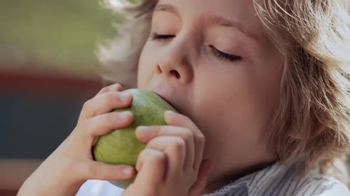 Handsome Boy Bite Raw Green Apple Healthy Teeth Lifestyle Fresh Organic Food