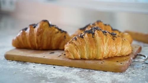 Delicious Freshly Baked Croissants Placed on Counter Tray