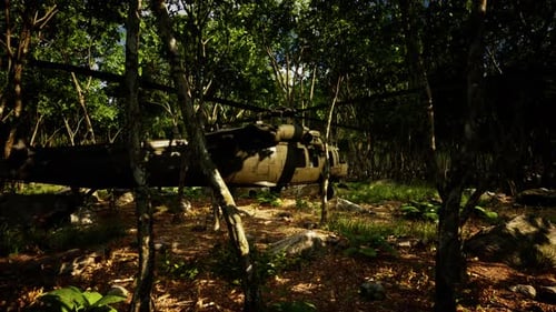 Military Helicopter in Deep Jungle