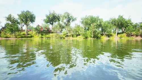 Beautiful Lake Garden with Reflection