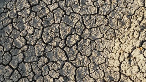 Cracked Arid Earth Displaying Environmental Drought