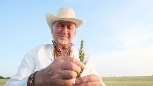 Senior Farmer Examining Wheat Crop Gives Thumbs Up