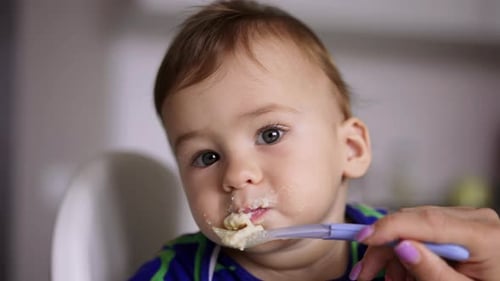 Cute Baby Eating Food from Spoon Close Up