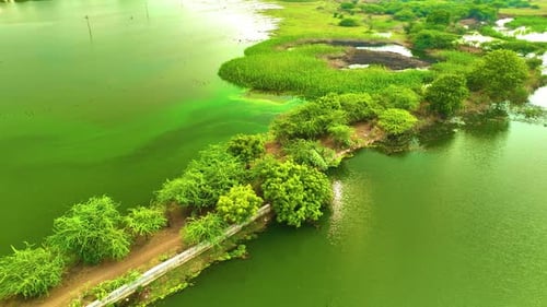 Pond - Orbiting Shot By a Drone